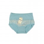 Fancy Lace Brief - Small Waistband