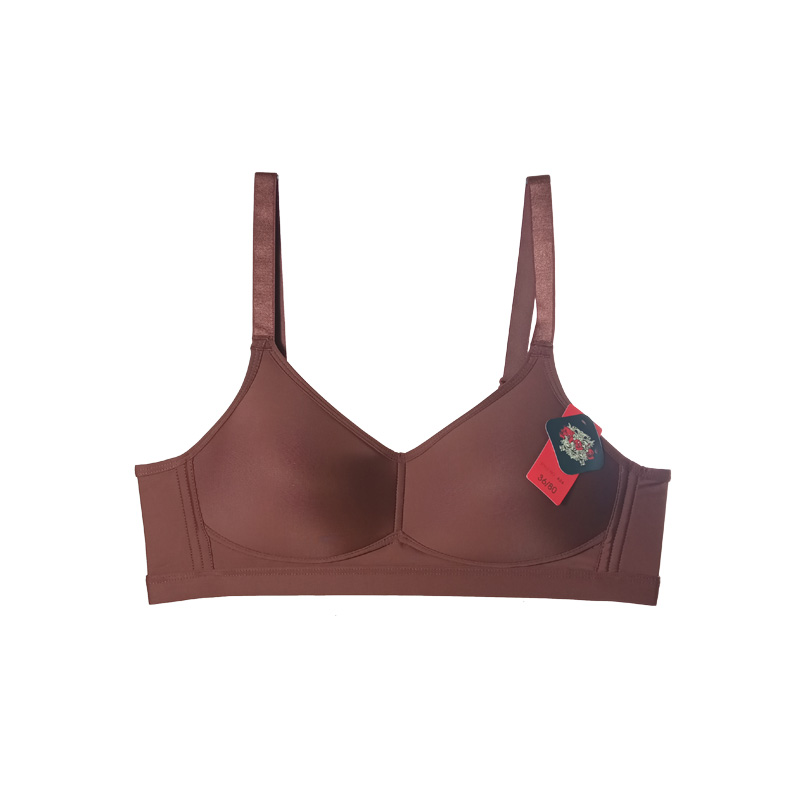 Buy SABINA Full Cup Not Padded Non Wired Semi See Through Bra